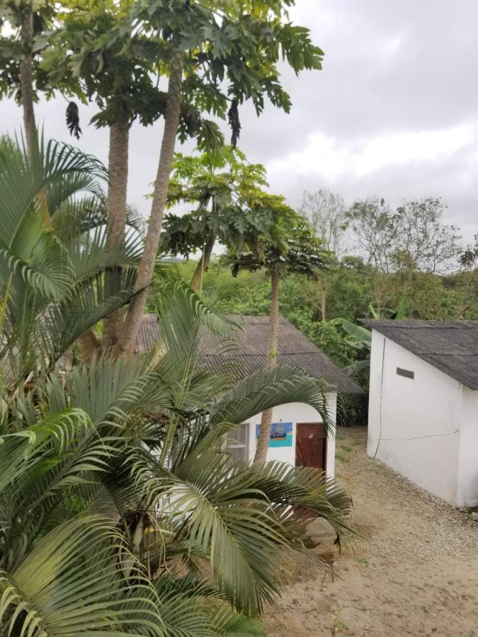Montanita Garden Hostal Dış mekan fotoğraf